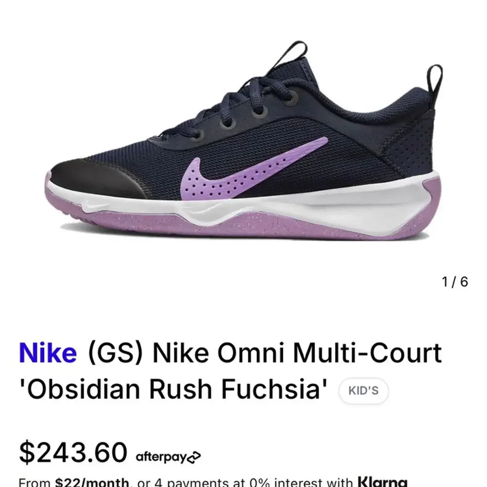 Nike Omni Multi-Court 'Obsidian Rush Fuchsia